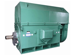 YJTFKK5004-12-315KWY系列6KV高压电机